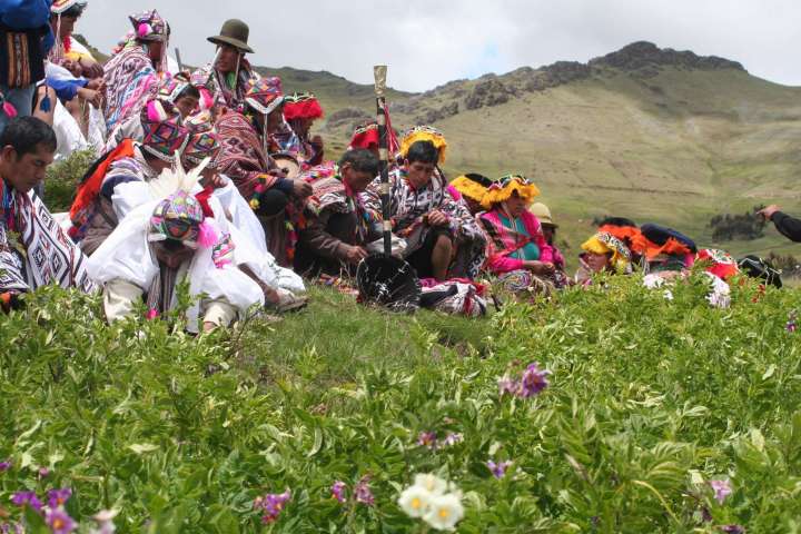 traditional-knowledge-management-systems